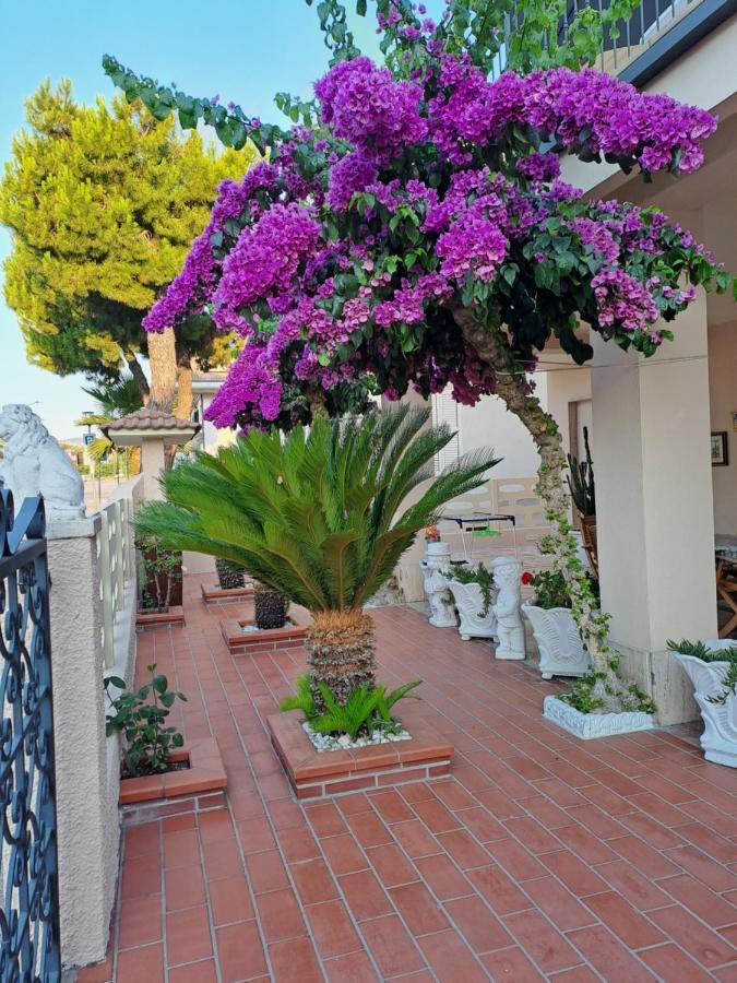 Bouganville Casa Vacanza Ambiente Climatizzato Con Wi Fi Pineto Exterior photo