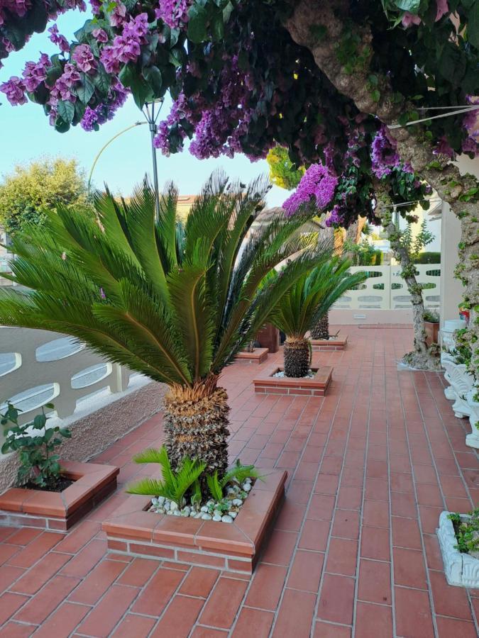Bouganville Casa Vacanza Ambiente Climatizzato Con Wi Fi Pineto Exterior photo